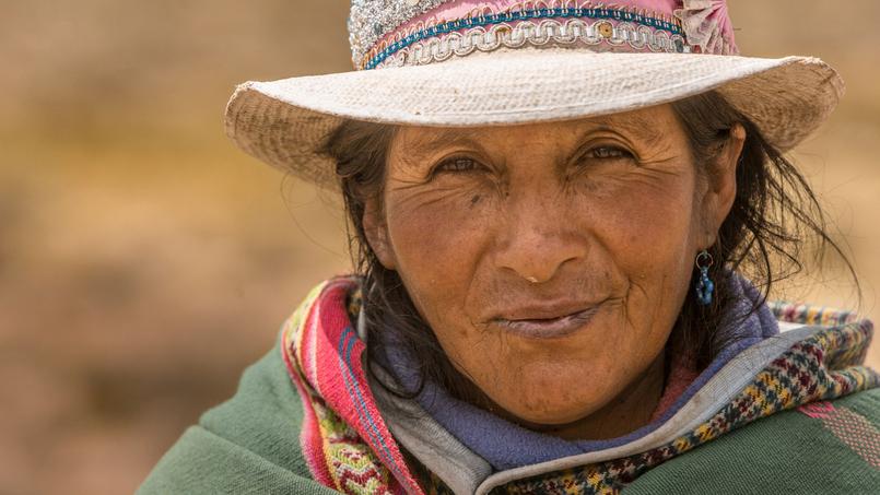 Tecla garde seule son troupeau de lamas et d'alpagas dans la réserve nationale de Salinas y Aguada Blanca.
