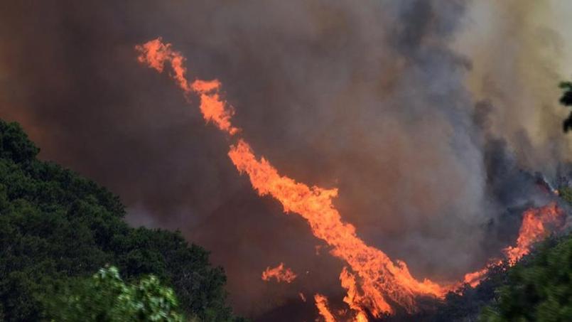 Les flammes s'élèvent à l'est de Santa Maria, en Californie. (Crédit photo: Mike Eliason/Santa Barbara County Fire Department via AP)
