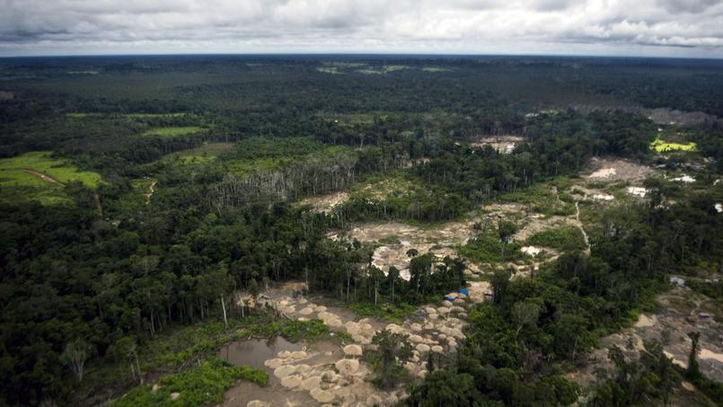 Entre 2001 et 2013, environ 1.680 km2 de forêts tropicales ont été défrichés en Amérique du Sud pour permettre l'exploitation de mines d'or.