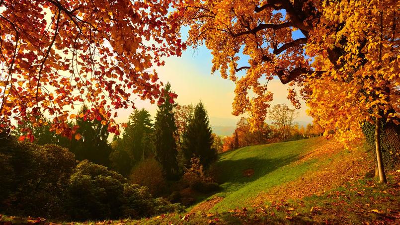 http://i.f1g.fr/media/figaro/805x453_crop/2016/10/28/XVMf33e80d0-9c61-11e6-b6d2-21d92bf1c42f.jpg