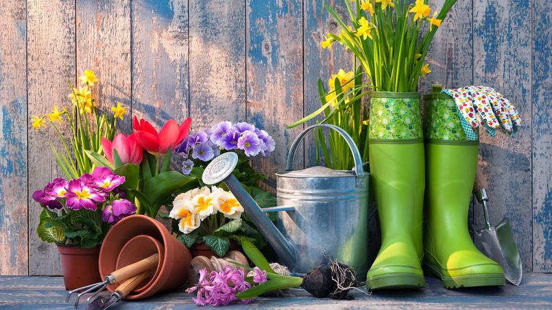 La saveur du printemps de Emilie Richards XVM0a15d48e-0d7d-11e7-9af1-a7debc100a78