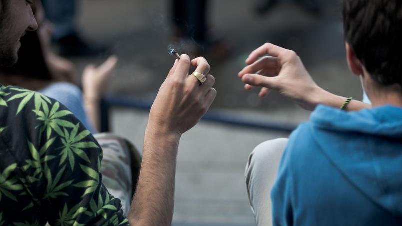 Gérard Collomb veut alléger les sanctions pour les consommateurs — Cannabis