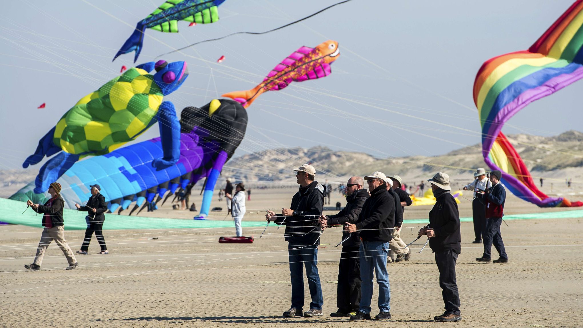 les 29e rencontres du cinéma latino-américain