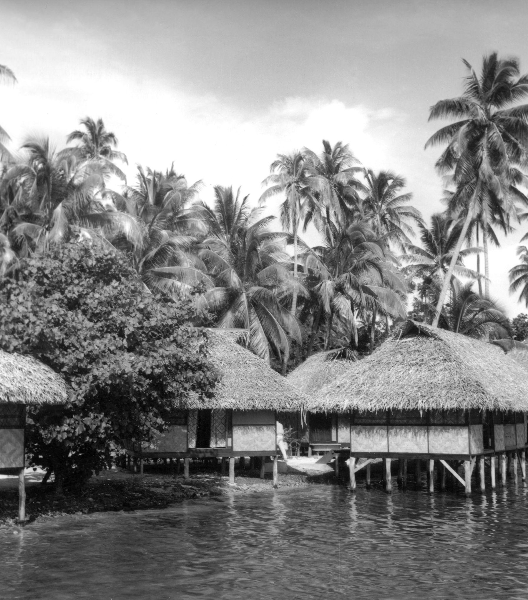 Club med celibataire forum