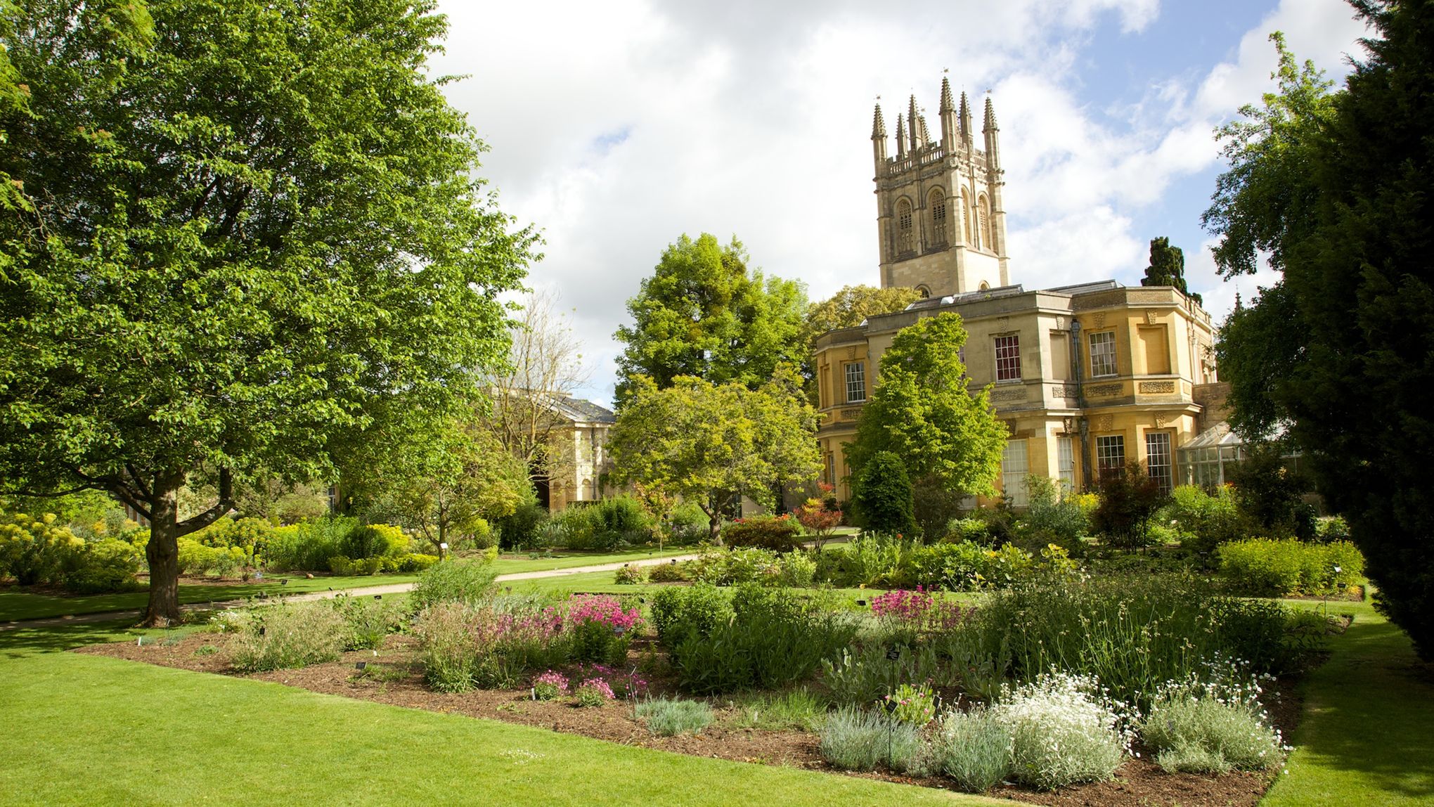 L'atmosphère irréelle du jardin botanique d'Oxford