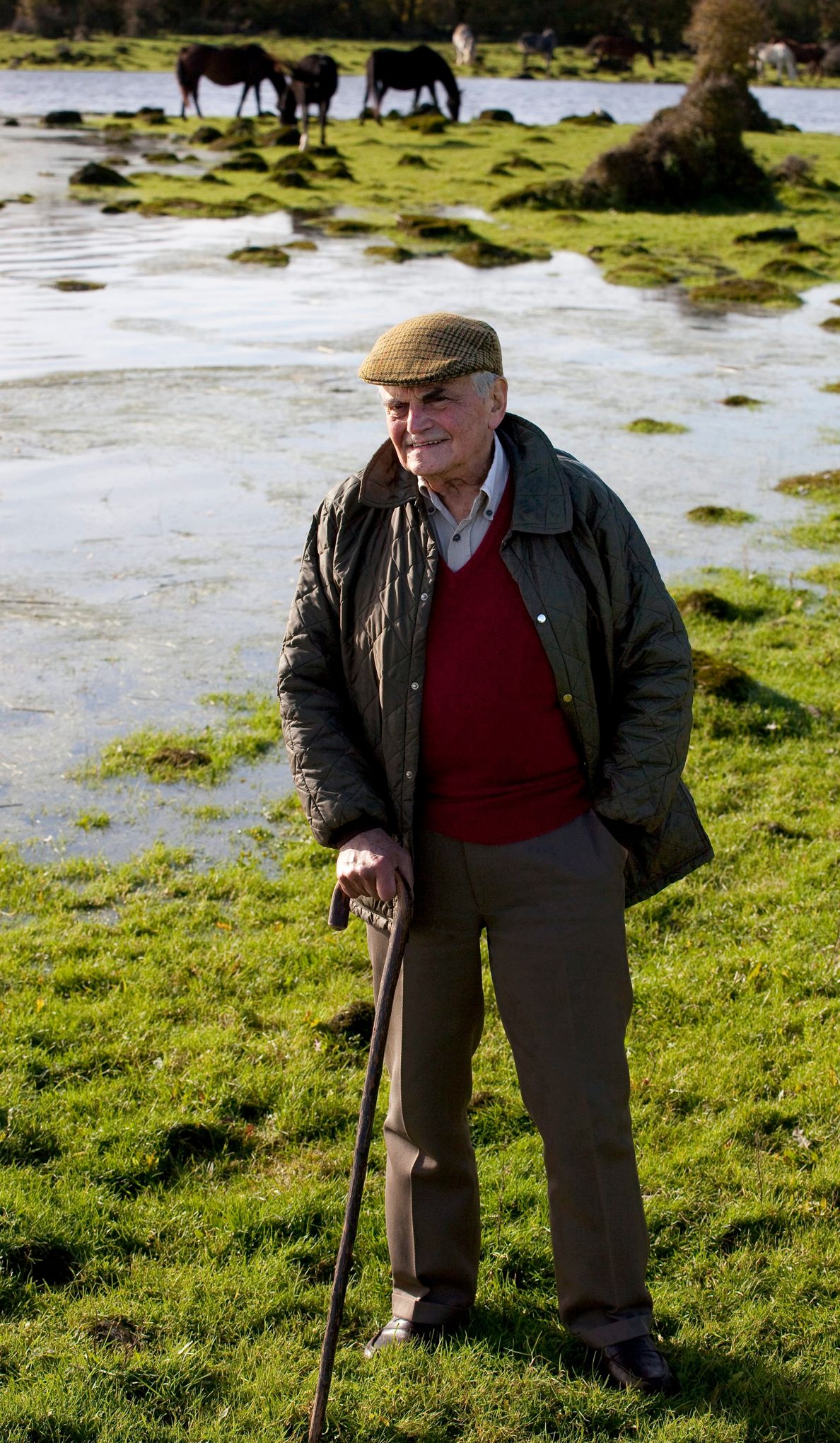 Michel Déon le jeune homme vert s'en est allé