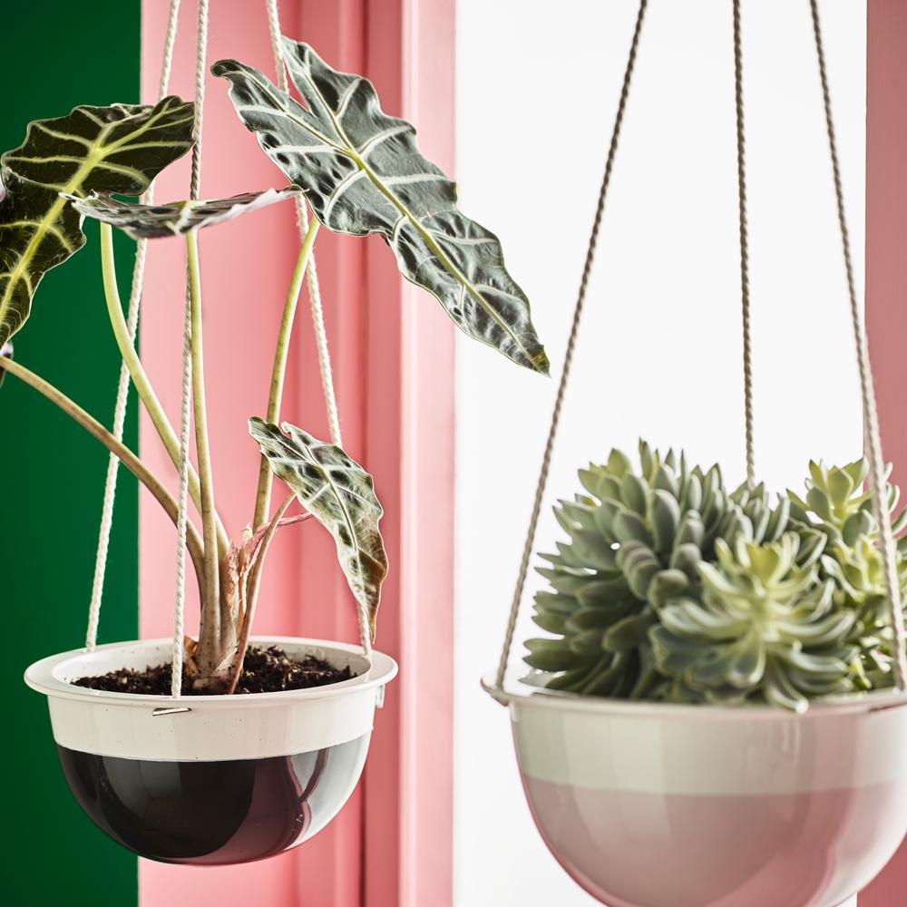 Cache Pots Et Suspensions Design Pour Des Plantes Du Sol Au Plafond