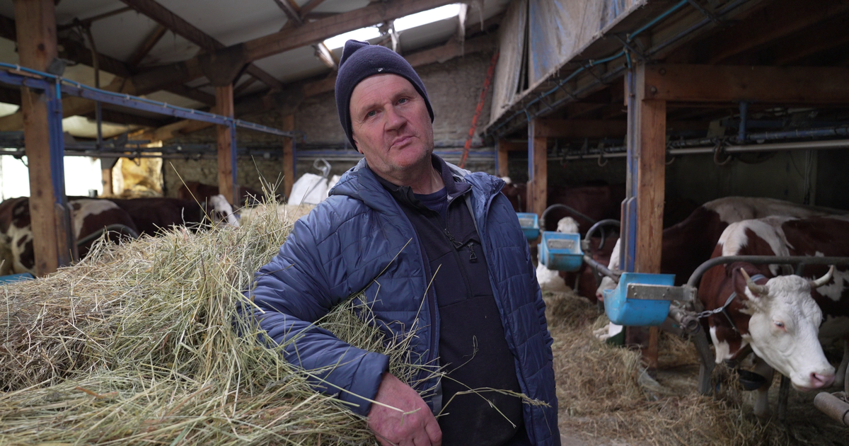 Dermatose : Â«Ne pas abattre mon troupeau aurait condamnÃ© ceux de mes voisinsÂ»