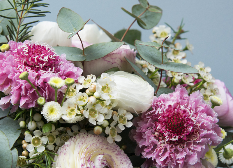 Gagnez Un An De Bouquets De Fleurs Avec Monsieur Marguerite