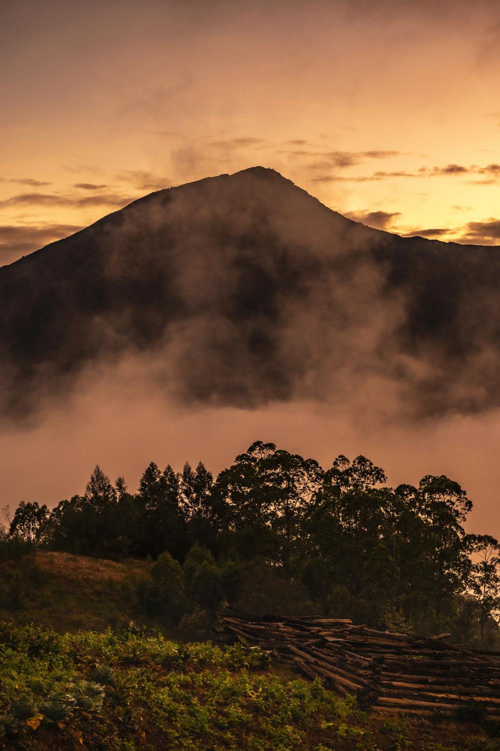 LES DONN ES RELATIVES TIMOR LESTE MONDE visual data 7