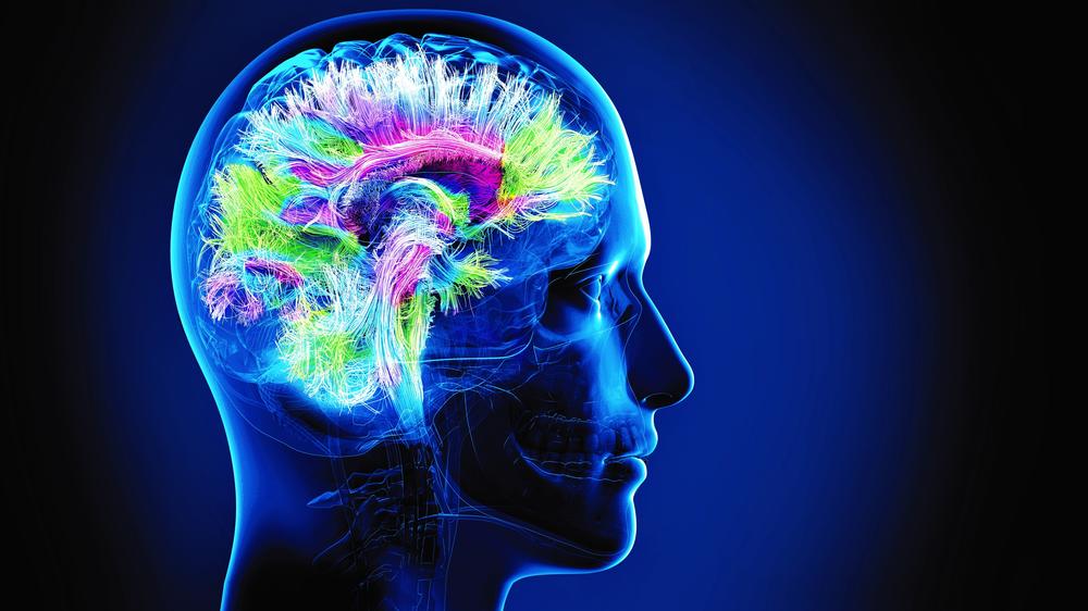 Publications de l'Institut du Cerveau et de la Moelle épinière (ICM)