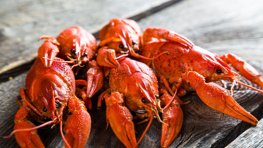 écrevisse recettes traditionnelles sublimez vos plats — free download