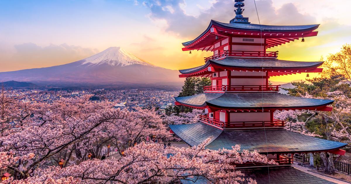 Japon : le guide de voyage du Figaro