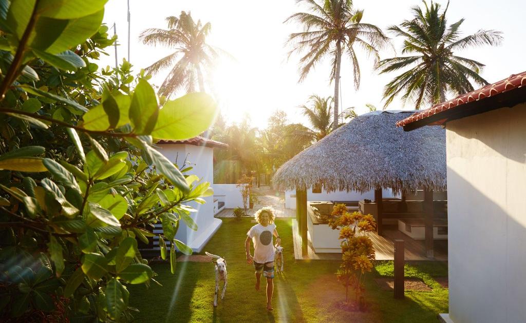 Hôtel La ferme de à Atins au Brésil, l'avis d'expert du Figaro Hôtel La ferme de à Atins au Brésil, l'avis d'expert du Figaro