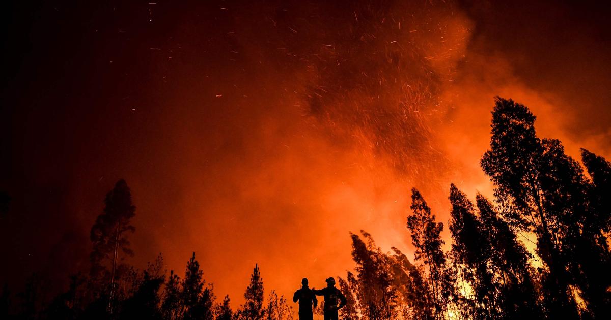 Onda de calor e risco muito elevado de incêndios em Espanha e Portugal