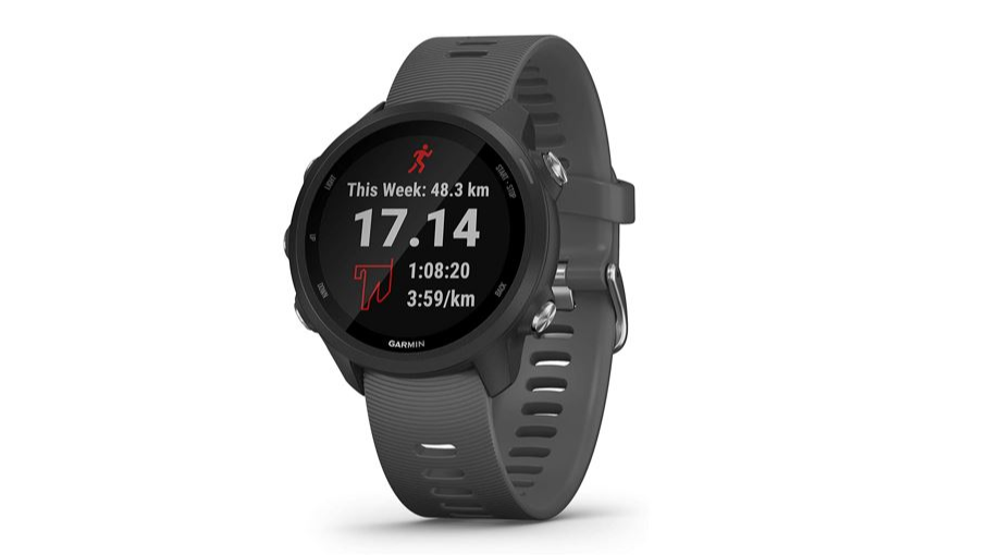 Garmin cheap 245 promotion