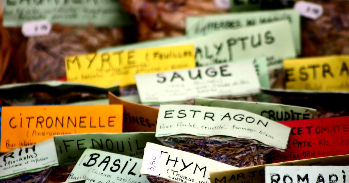 Recettes Cuisine corse : faciles et originales