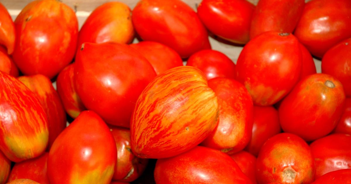 La tomate cœur de bœuf : conseils d'achat et idées de recettes l Régal