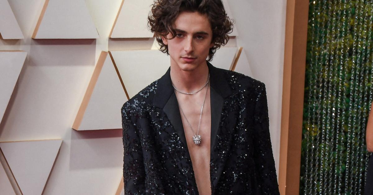 Louis Vuitton Sequined Jacket worn by Timothée Chalamet on Oscars 2022  Red-Carpet