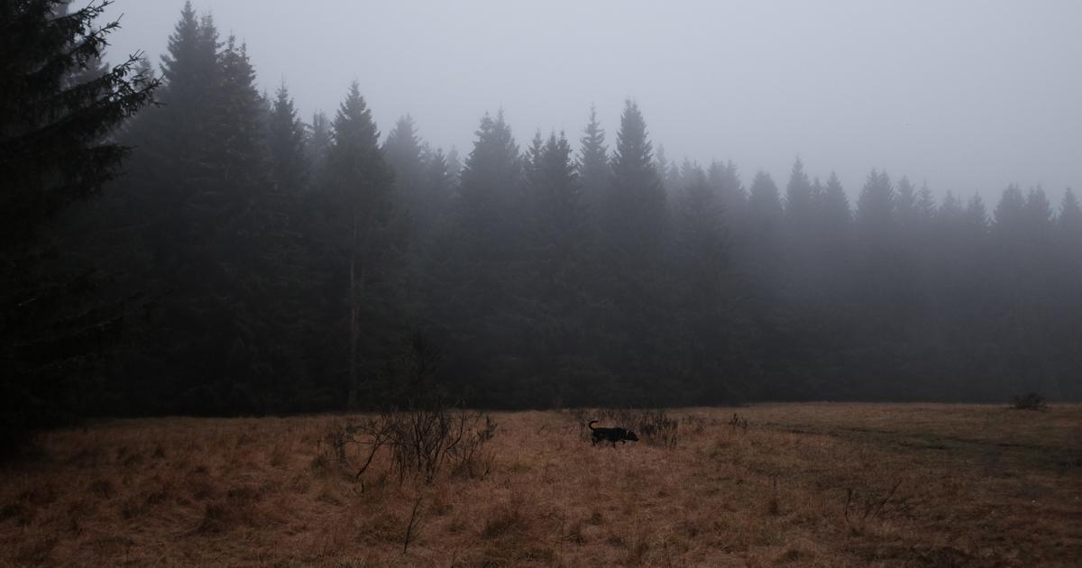 Chasseur Décapité La Vérité 27 Ans Après