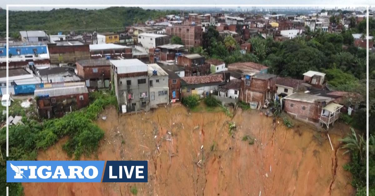 Torrential rains in Brazil: death toll rises to 100 - The Limited Times