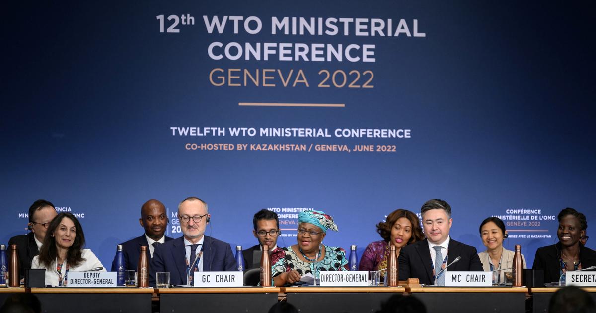 WTO welcomes NGOs’ imperfect but ‘historic’ anti-fishing agreement
