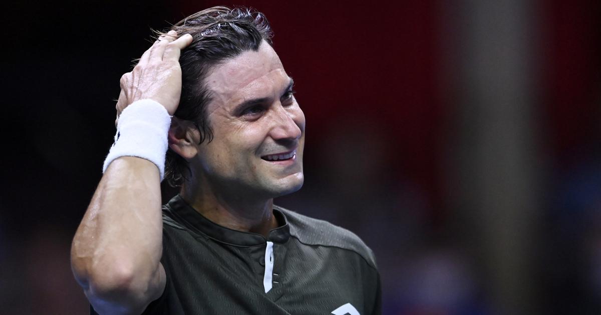 Tennis.  Former player David Ferrer has been appointed head coach of the DJ Cup