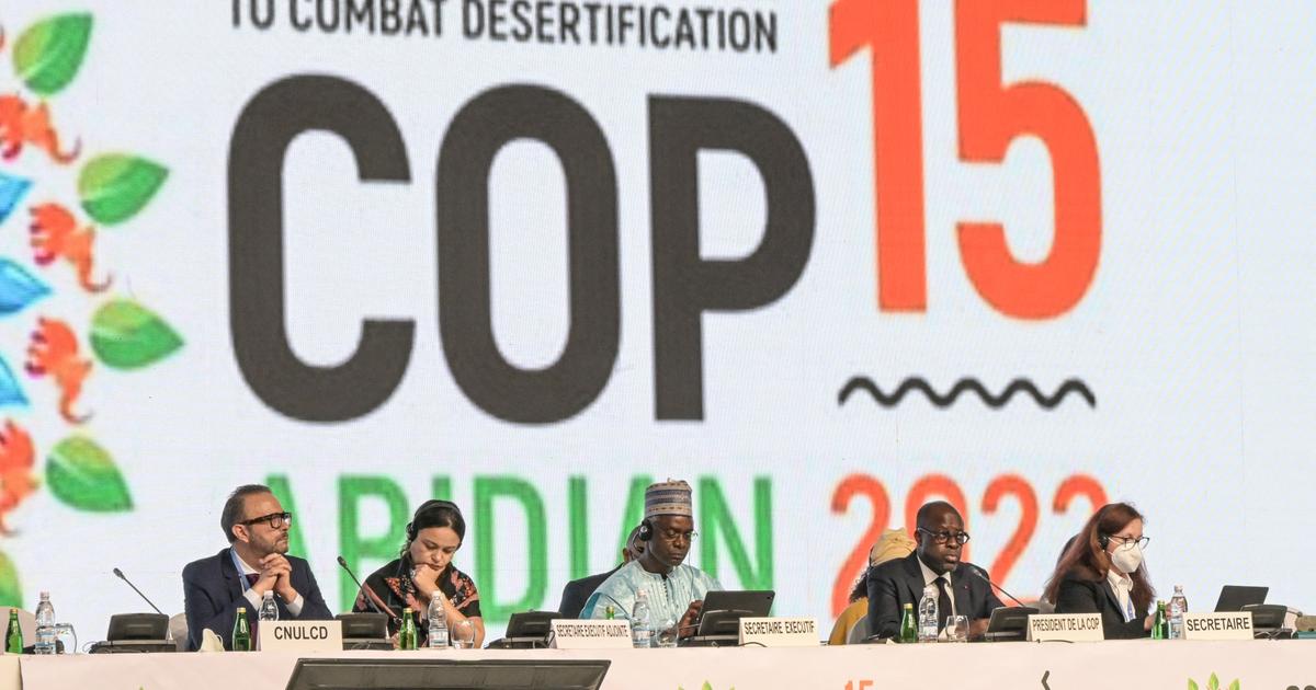 Kenya.  blockades in biodiversity negotiations for the “other COP”