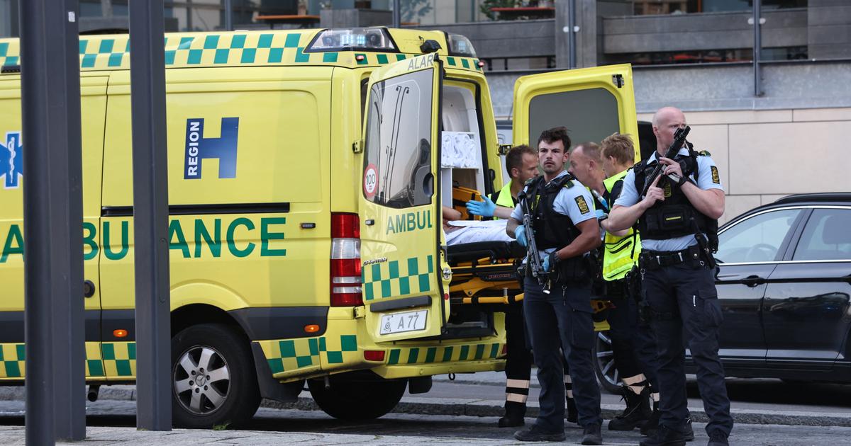 Danemark : «plusieurs morts» après une fusillade dans un centre commercial de Copenhague