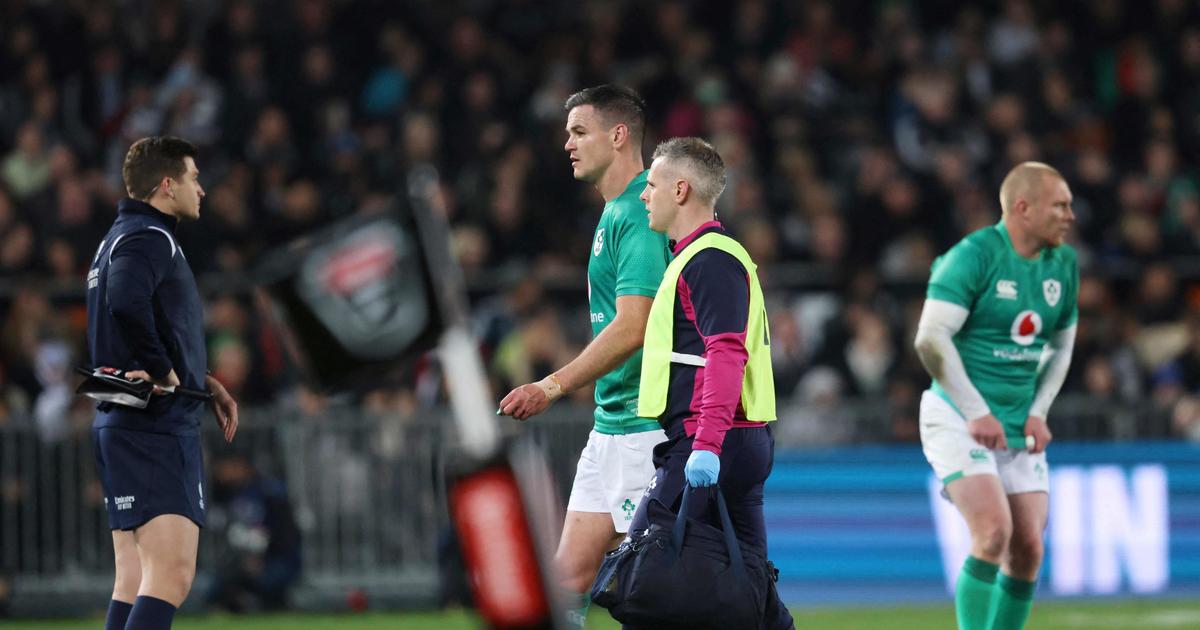 Rugby : pourquoi l'Irlandais Sexton peut rejouer dès ce samedi