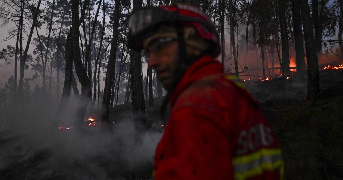 Sob onda de calor, Portugal luta para controlar vários incêndios florestais