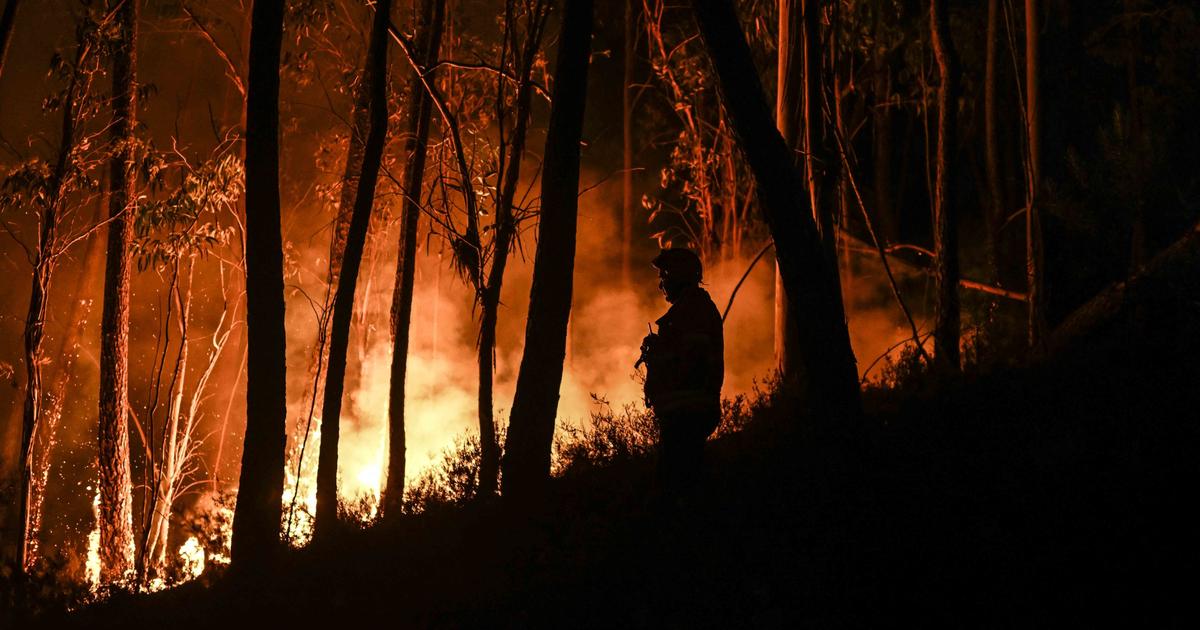 Retomada violenta de incêndios florestais no centro de Portugal