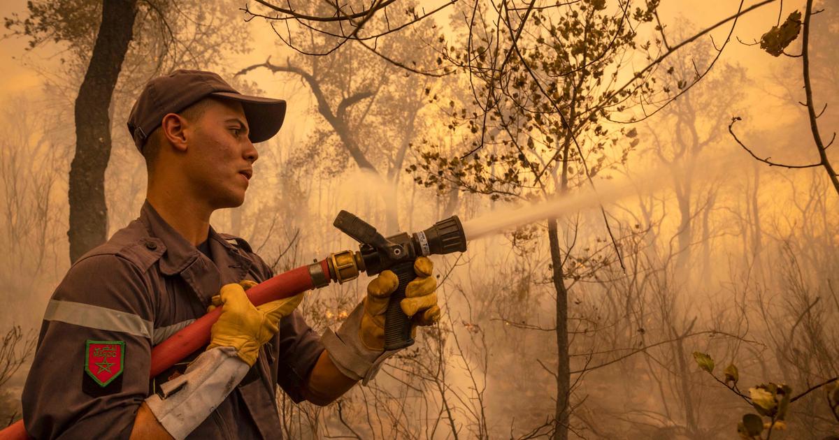 Branden en militaire versterkingen om bosbranden onder controle te krijgen