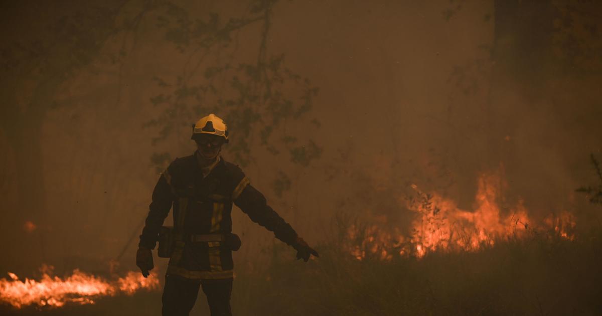 AO VIVO – Incêndios no Gironde: um homem colocado sob custódia policial na investigação sobre a origem do incêndio em Landiras