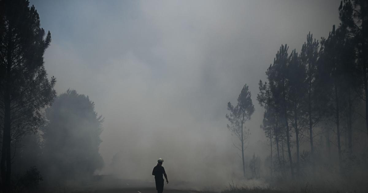 EN DIRECTO – Incendios y ola de calor: 17.000 hectáreas quemadas en Gironda a medida que el calor se desplaza hacia el este