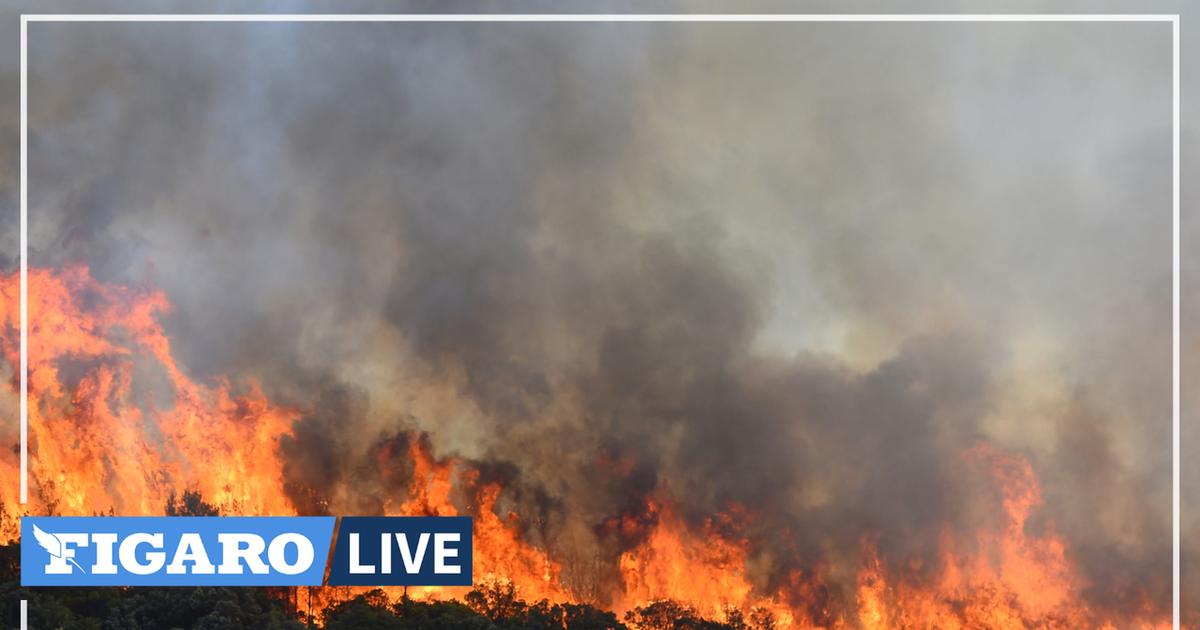 Un incendie détruit au moins 700 hectares entre la Lozère et l'Aveyron, 3000 personnes évacuées