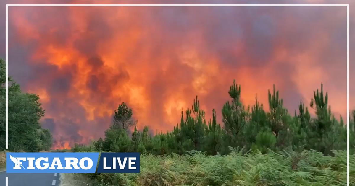 Le feu reprend près de Landiras en Gironde : 6000 hectares de pins brûlés, 3500 personnes évacuées