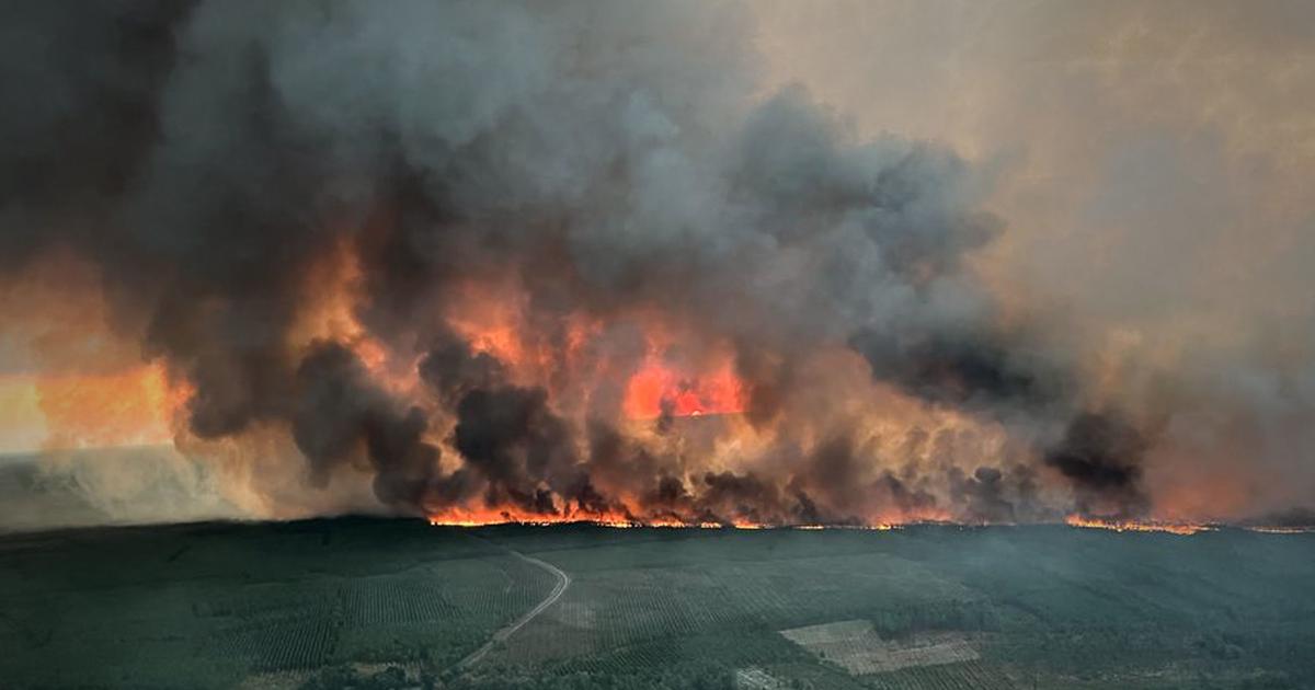 Incendies : 6000 hectares brûlés après la reprise des feux en Gironde