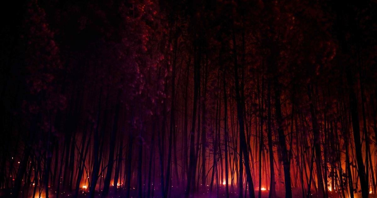 mais de 1.500 bombeiros ainda mobilizados contra um incêndio em um parque natural