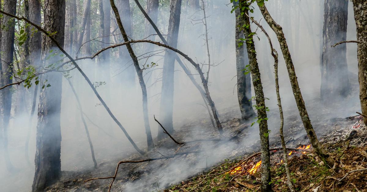 Incêndio florestal no parque natural do centro de Portugal ‘sob controlo’