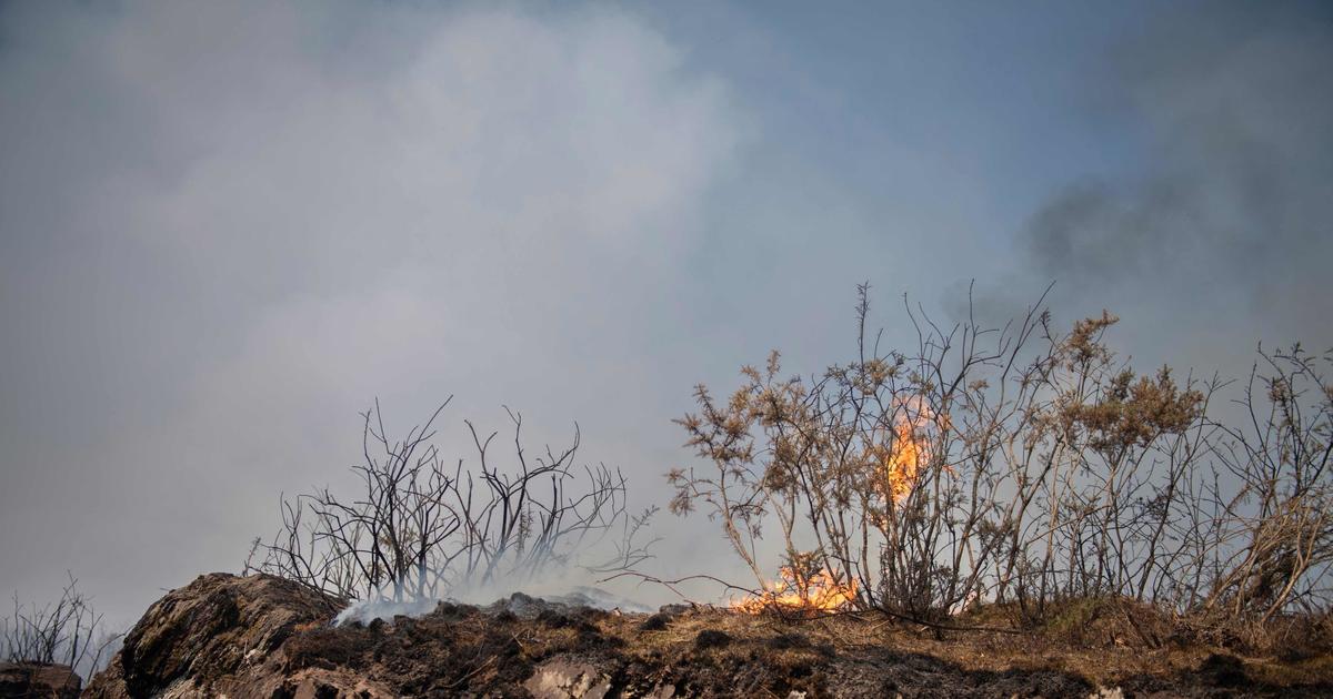Bretagne: le feu en forêt de Brocéliande est fixé