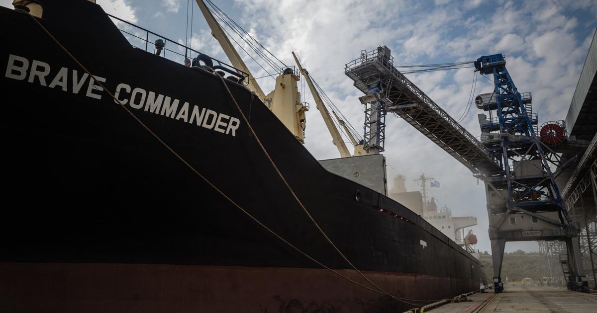 Ukraine : départ du premier navire de l'ONU chargé de céréales pour l'Afrique