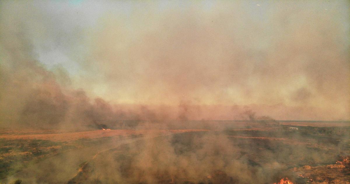 gran incendio en el delta del Paraná, incendio provocado dijo