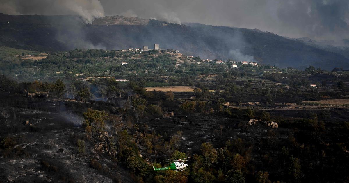 Portugal luta para apagar fogo num parque natural