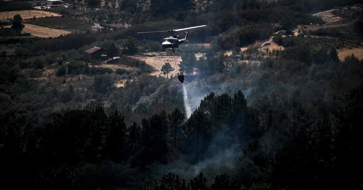 Grande incêndio no parque natural do centro de Portugal declarado controlado