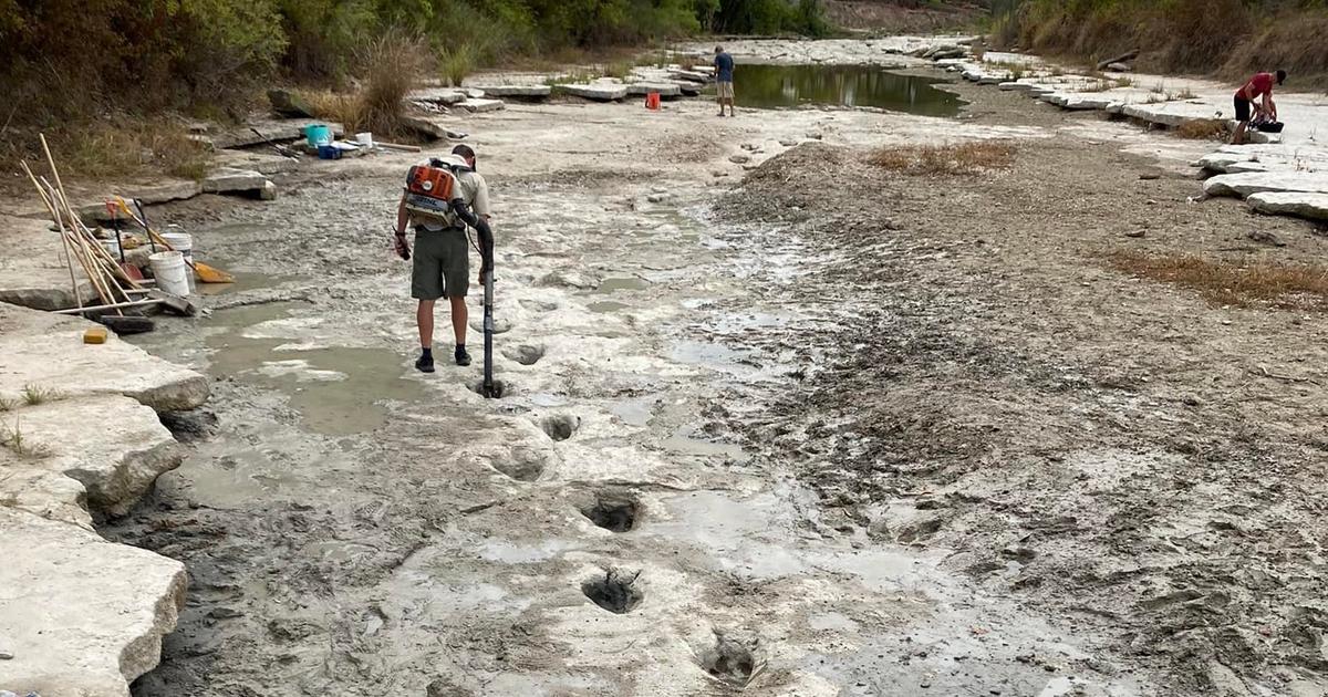 La siccità rivela tracce di dinosauri nel corso del fiume Texas