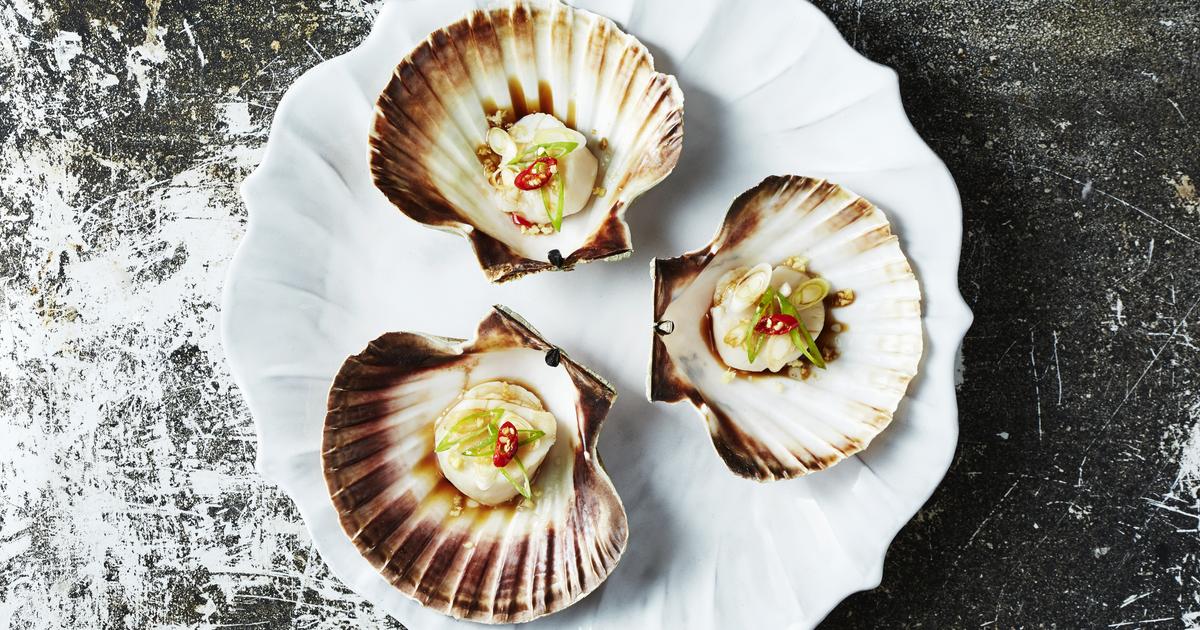 How to defrost scallops? The Limited Times