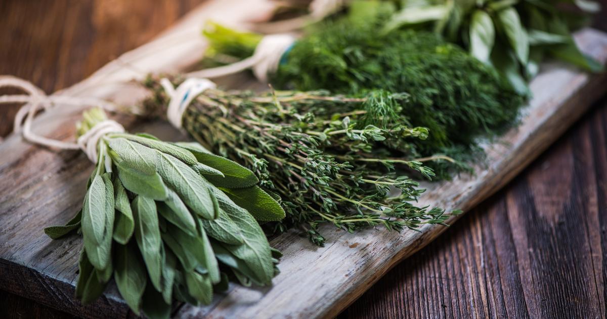 Comment Conserver Ses Herbes Aromatiques