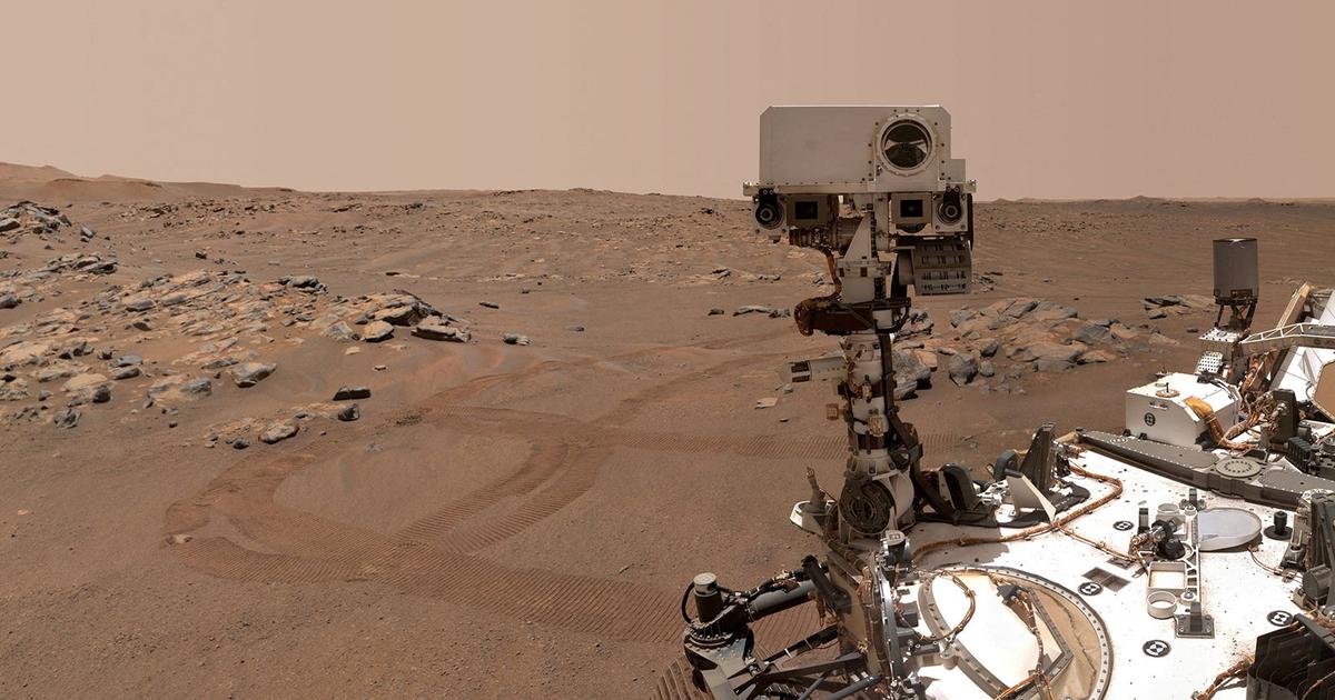 Perseverance rover heeft potentiële biometrische vingerafdrukken op Mars ontdekt