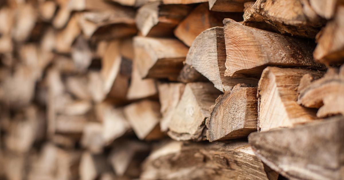Crescente carenza di legna da ardere a causa dei prezzi elevati